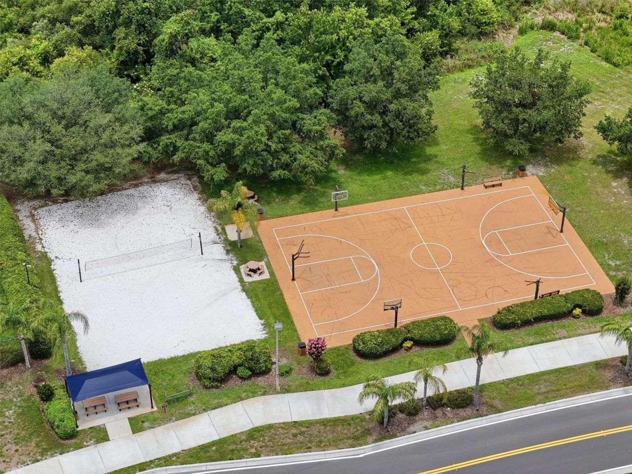18436 Dajana Avenue, Land O Lakes, FL 34638 Photo