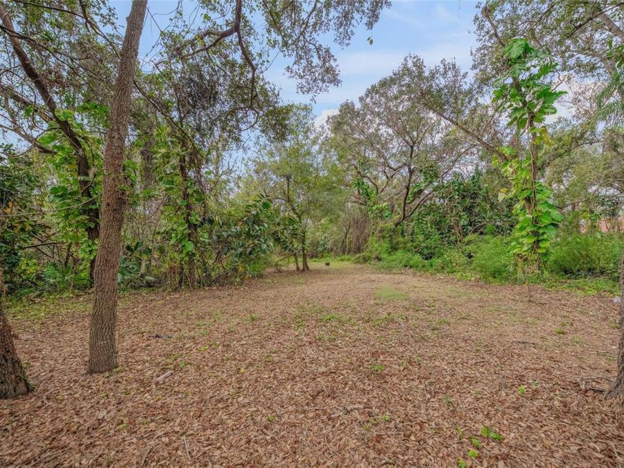 Property Image 82