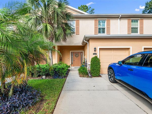 13922 SNAPPER FIN LANE , TAMPA, FL 33637