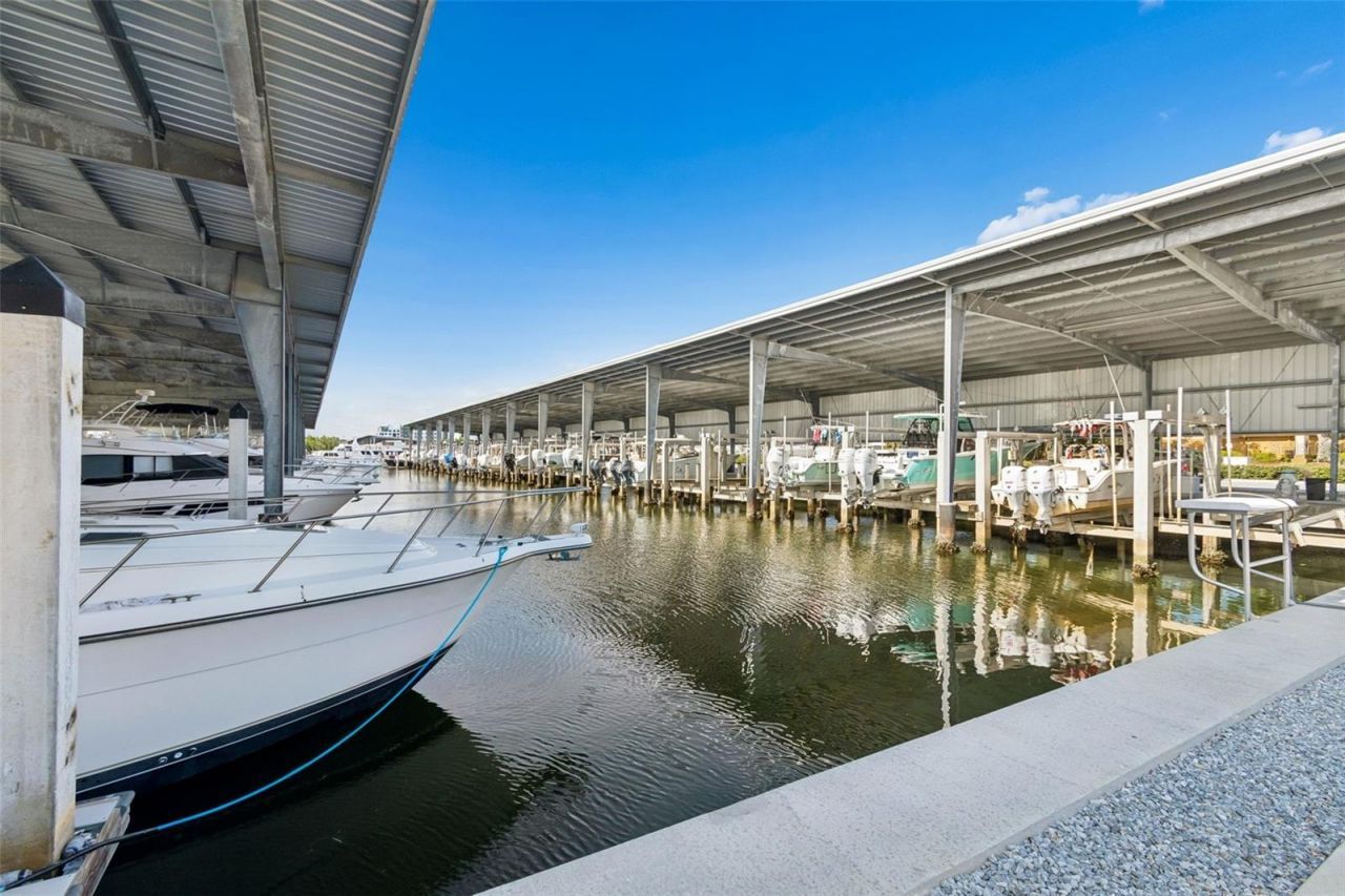 4388 50th Place S, Saint Petersburg, FL 33711 Photo