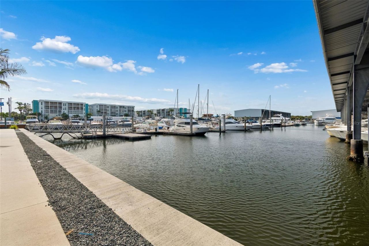 4388 50th Place S, Saint Petersburg, FL 33711 Photo