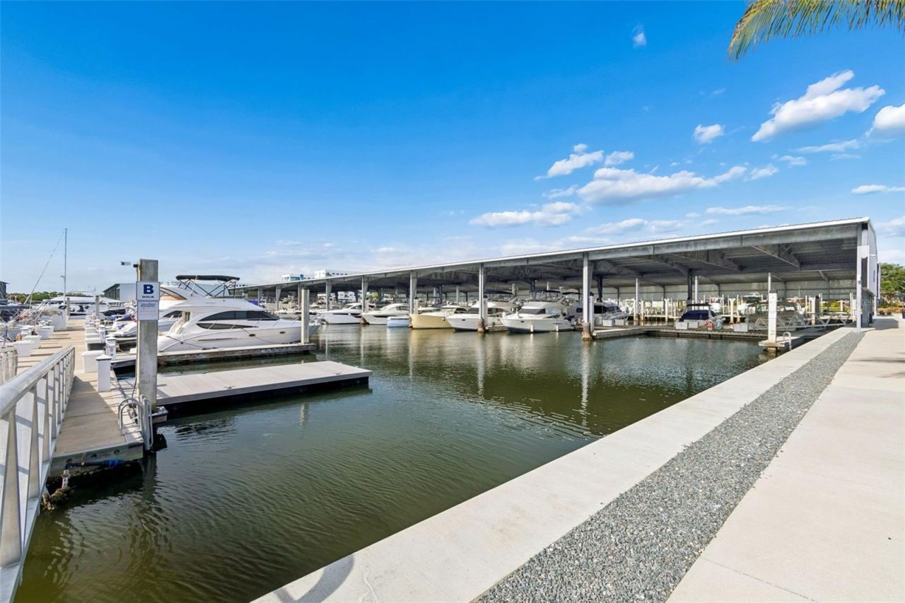 4388 50th Place S, Saint Petersburg, FL 33711 Photo