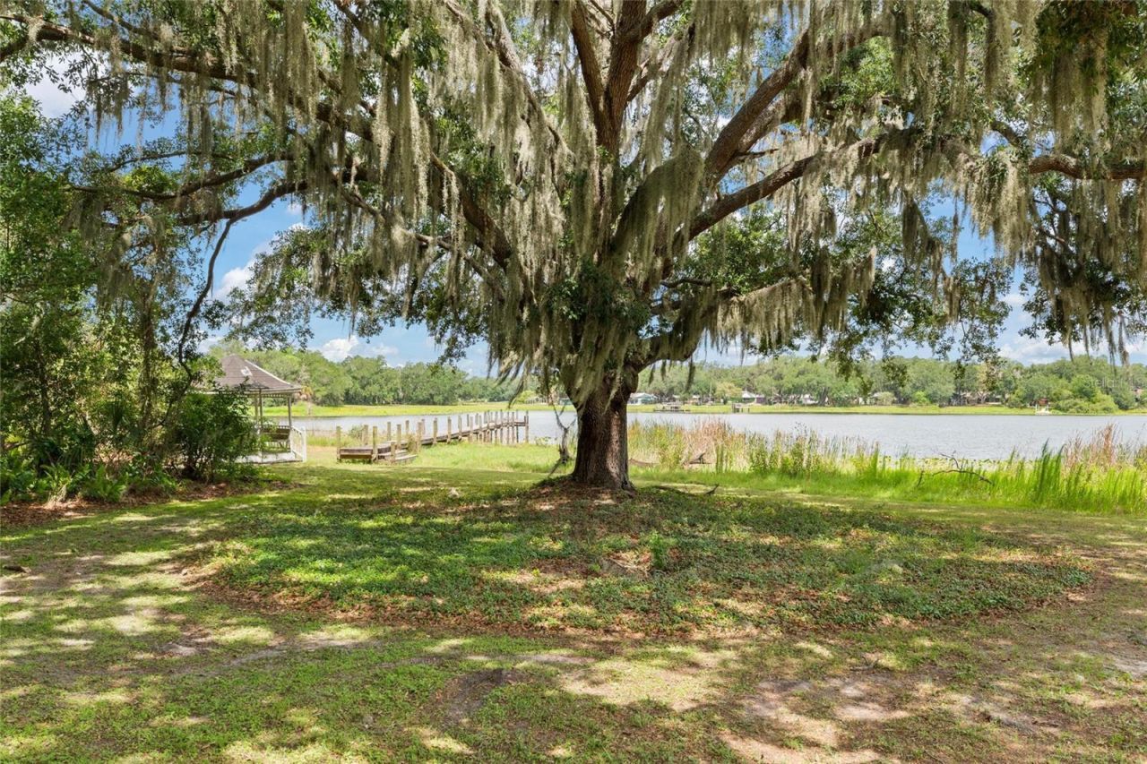498 Lakewood Drive , Brandon, FL 33510 Photo