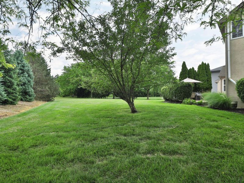 573 River Trace Road, Westerville, OH 43081 Photo 49