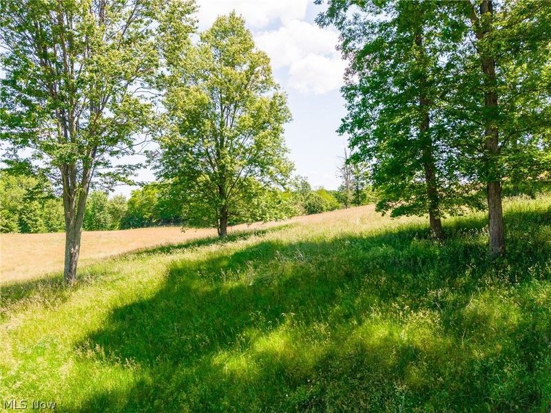 3640 NW Hope Road , Magnolia, OH 44643 Photo 34