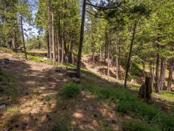 2690 Cheyenne Way, Dorrington, CA 95223