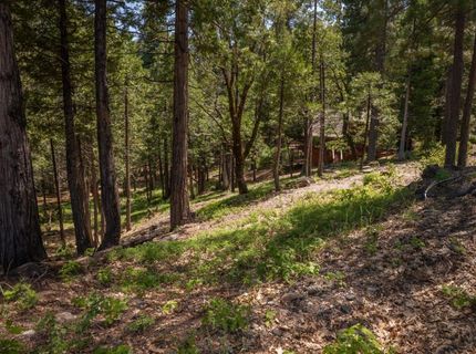 2690 Cheyenne Way, Dorrington, CA 95223 Photo