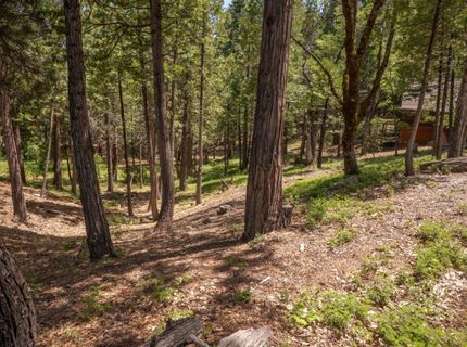 2690 Cheyenne Way, Dorrington, CA 95223 Photo