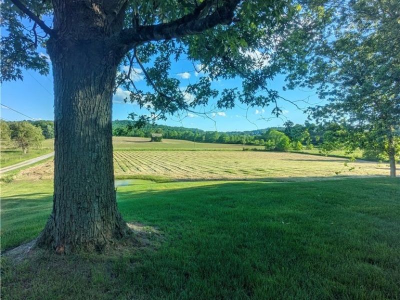 18395 Leatherwood Road, Salesville, OH 43778 Photo 4