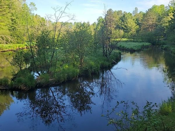 Sumac Trail, Grayling, MI 00000