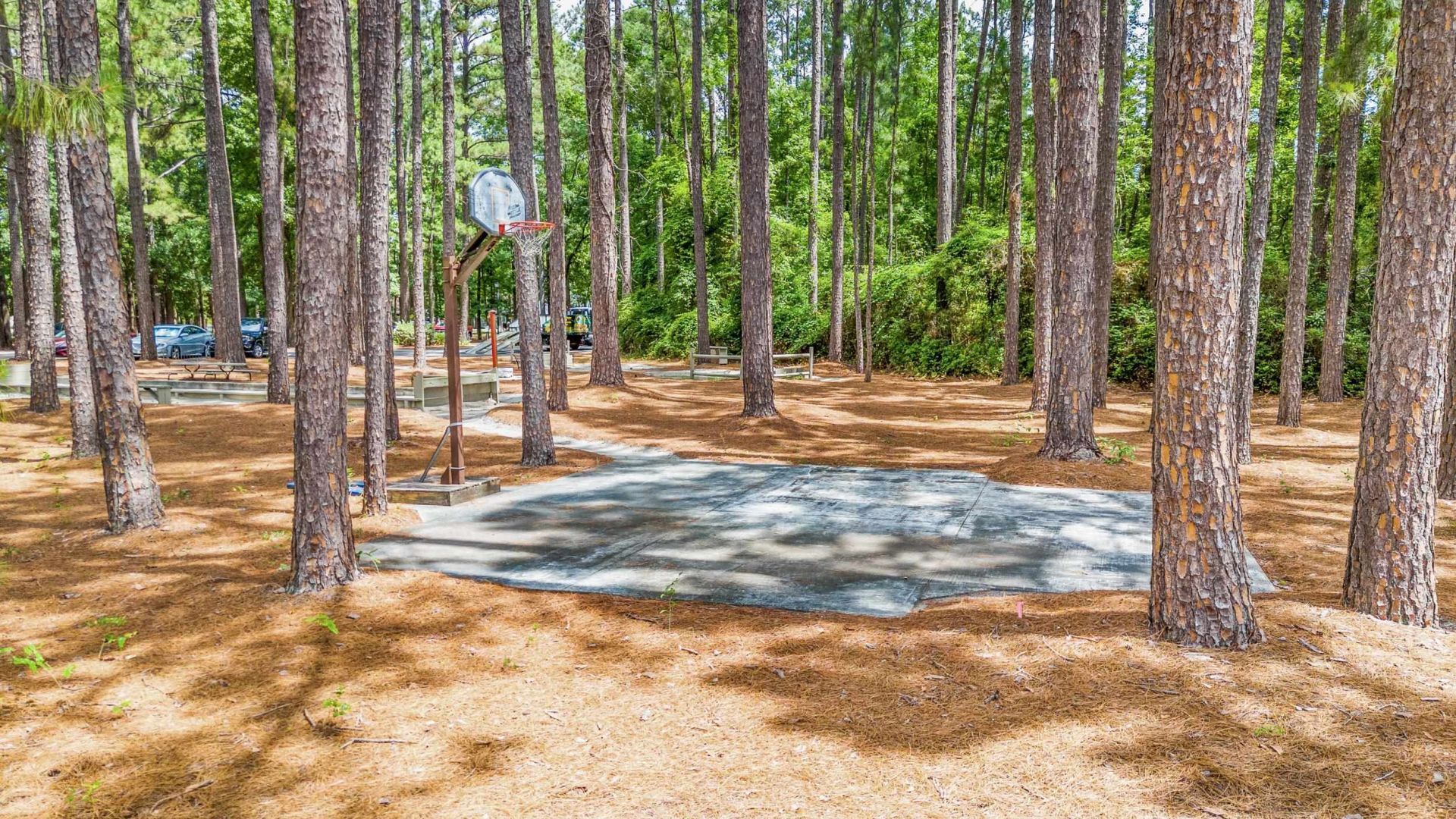 105 Hickory Dr.  Photo 35