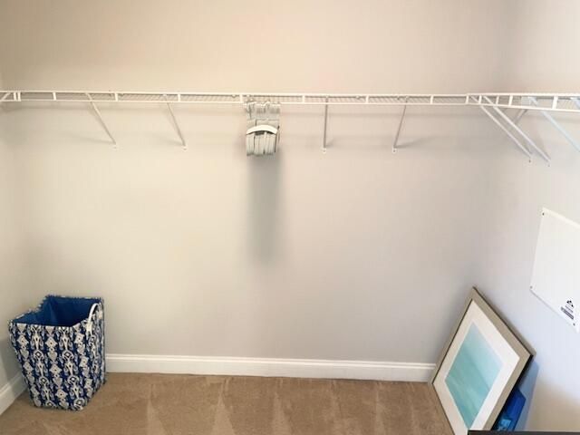 208 Clouter Creek Drive Photo 14