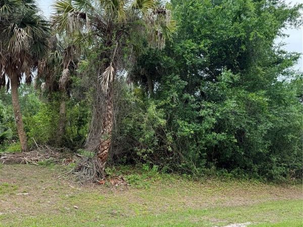 12192 CHAMBERLAIN BOULEVARD , PORT CHARLOTTE, FL 33953