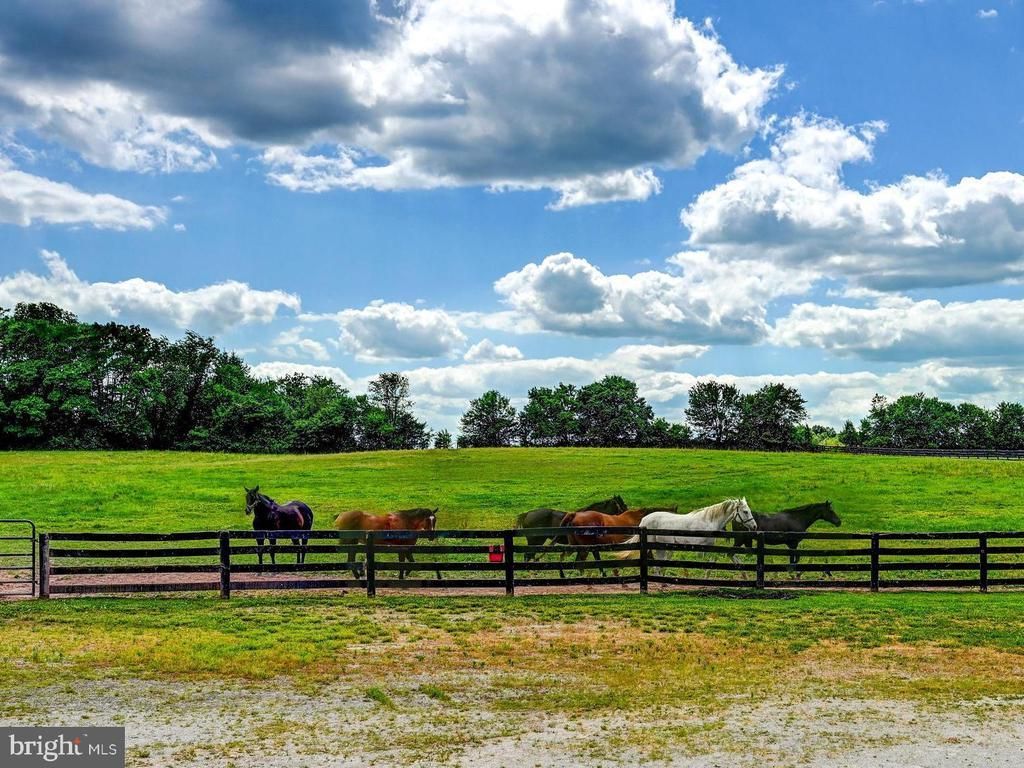 1384 BON OX ROAD, GETTYSBURG, PA 17325