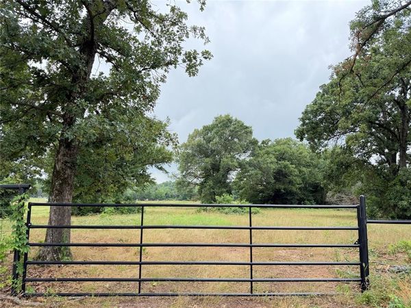 TBD Fm 1000 , Cookville, TX 75558