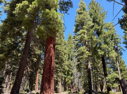 1390 Kings Vista Court, Tahoe Vista, CA 96148 Photo
