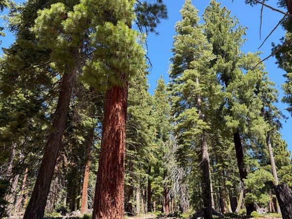 1390 Kings Vista Court, Tahoe Vista, CA 96148