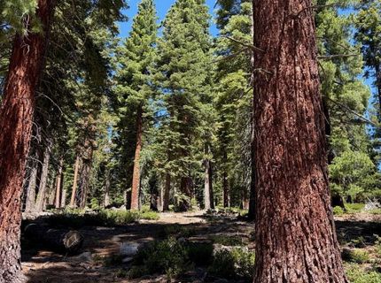 1390 Kings Vista Court, Tahoe Vista, CA 96148 Photo