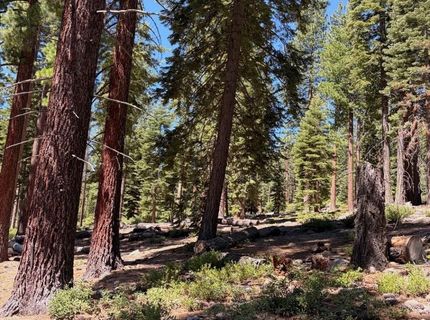1390 Kings Vista Court, Tahoe Vista, CA 96148 Photo