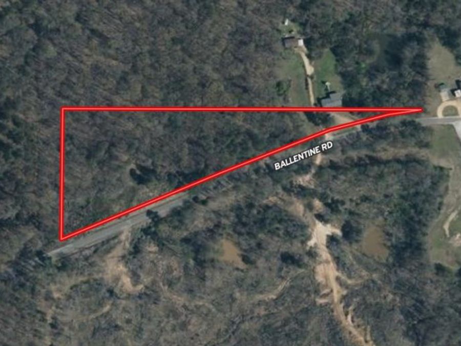 Property Image 4