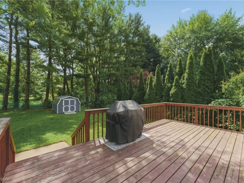 6006 Lake O Springs Avenue NW, Canton, OH 44718 Photo 36