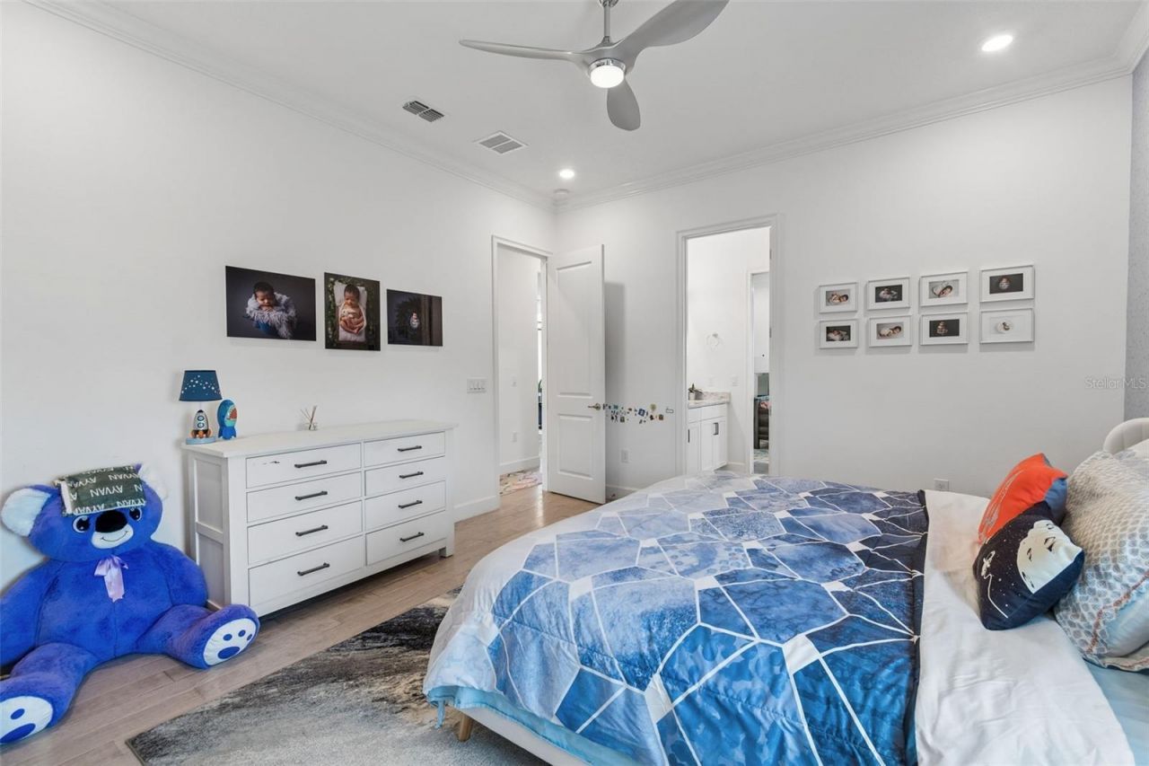 823 Manns Harbor Drive, Apollo Beach, FL 33572 Photo