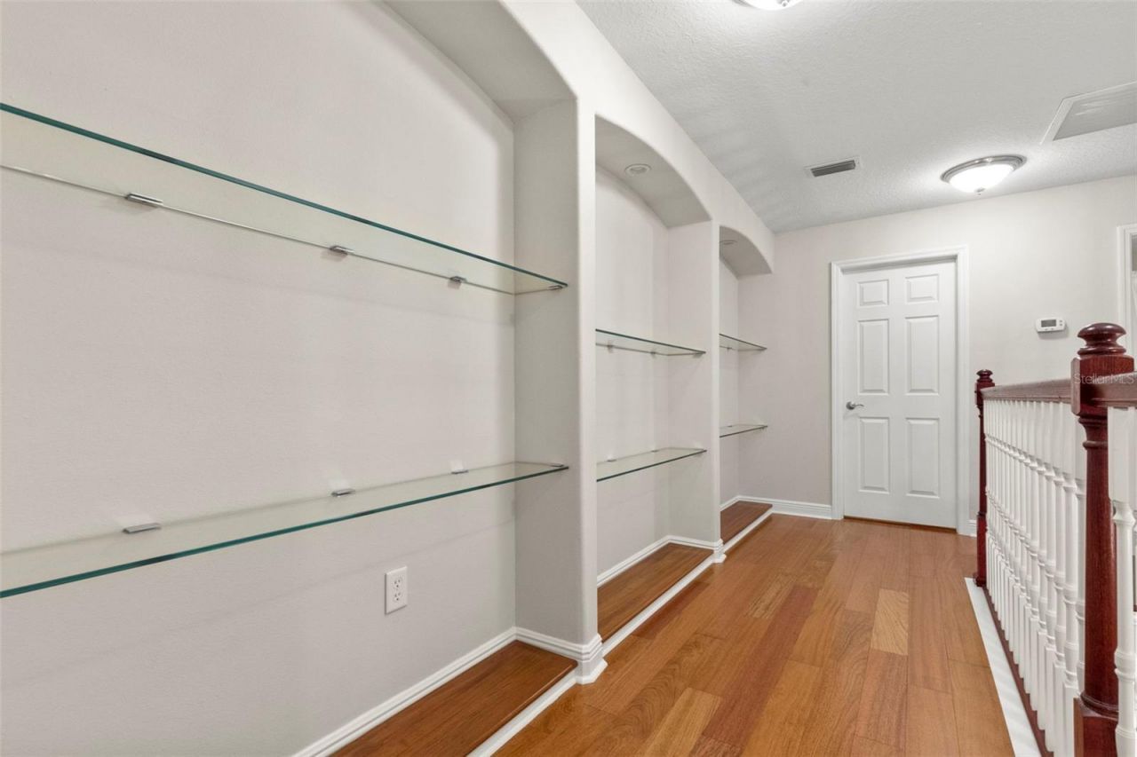 20203 Cane River Way, Tampa, FL 33647 Photo