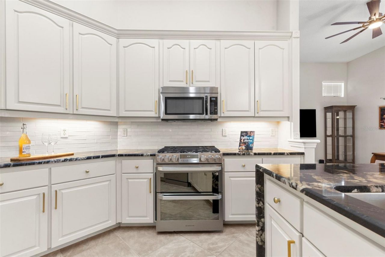 20203 Cane River Way, Tampa, FL 33647 Photo