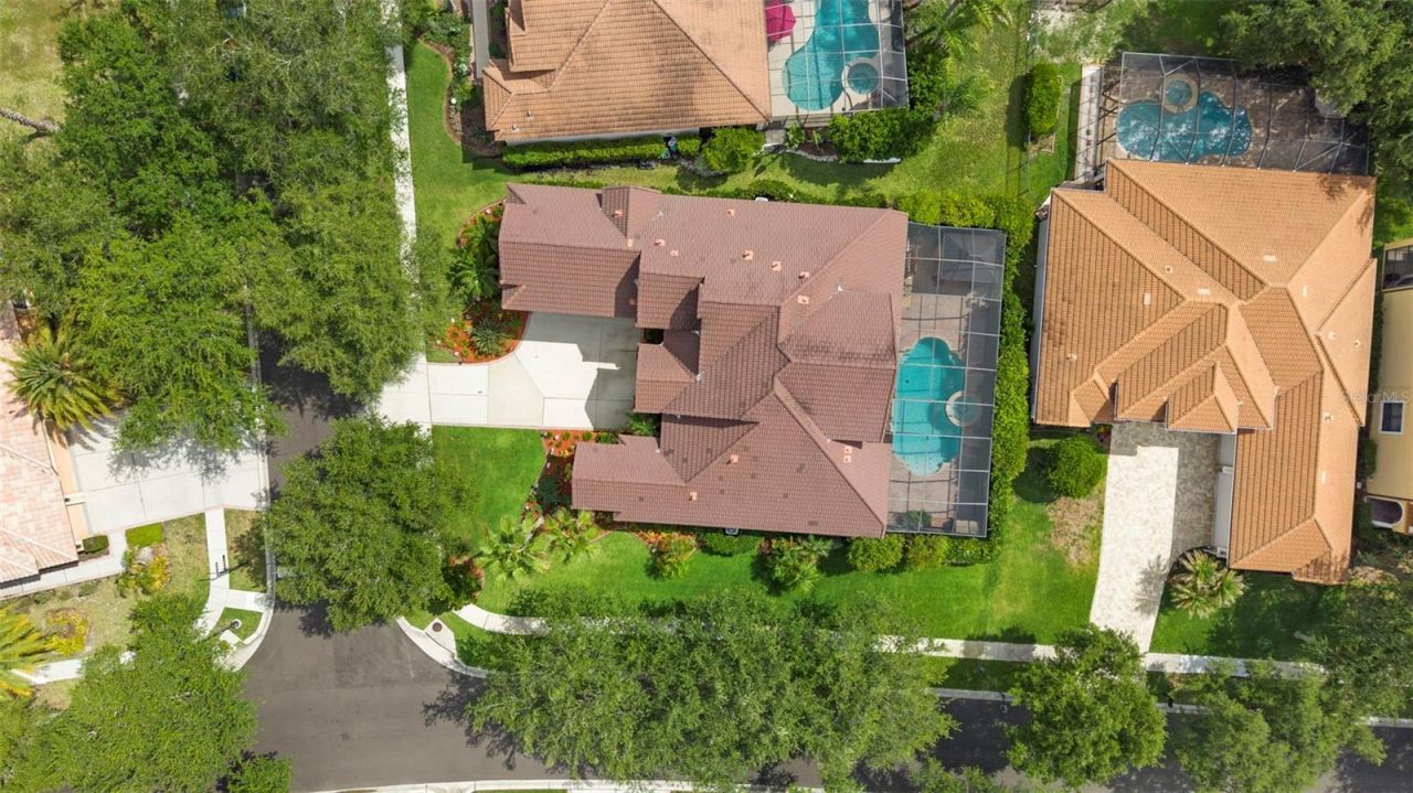 20203 Cane River Way, Tampa, FL 33647 Photo