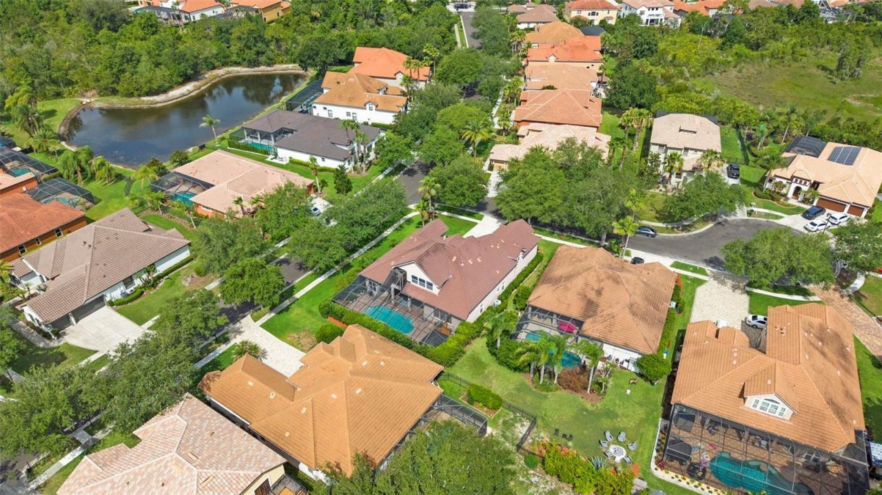 20203 Cane River Way, Tampa, FL 33647 Photo