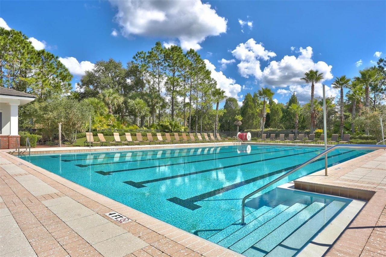 20203 Cane River Way, Tampa, FL 33647 Photo