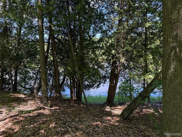 19672 Indian Drive Drive , Green Charter Twp, MI 49338