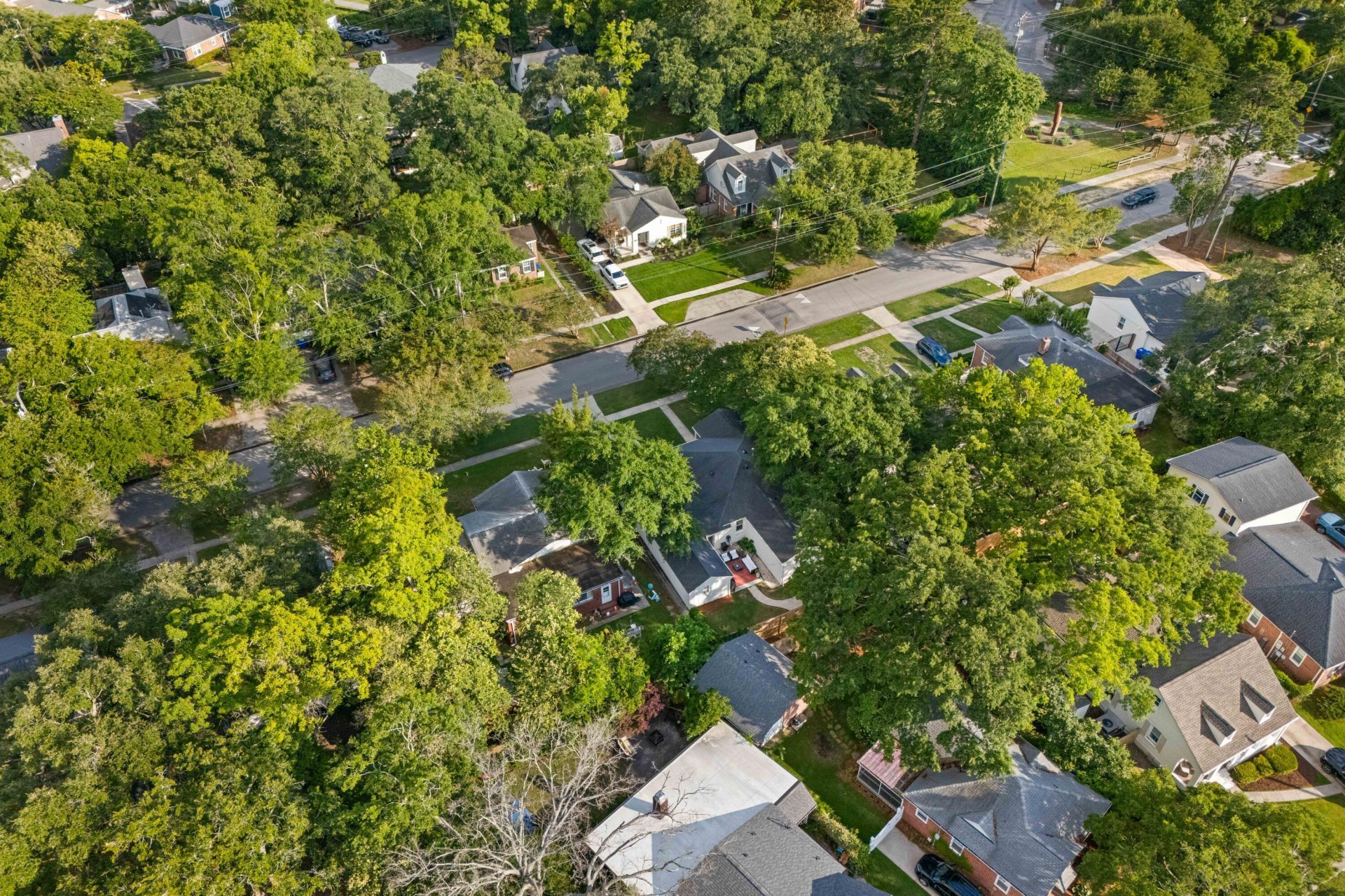 29 Campbell Drive Photo 46