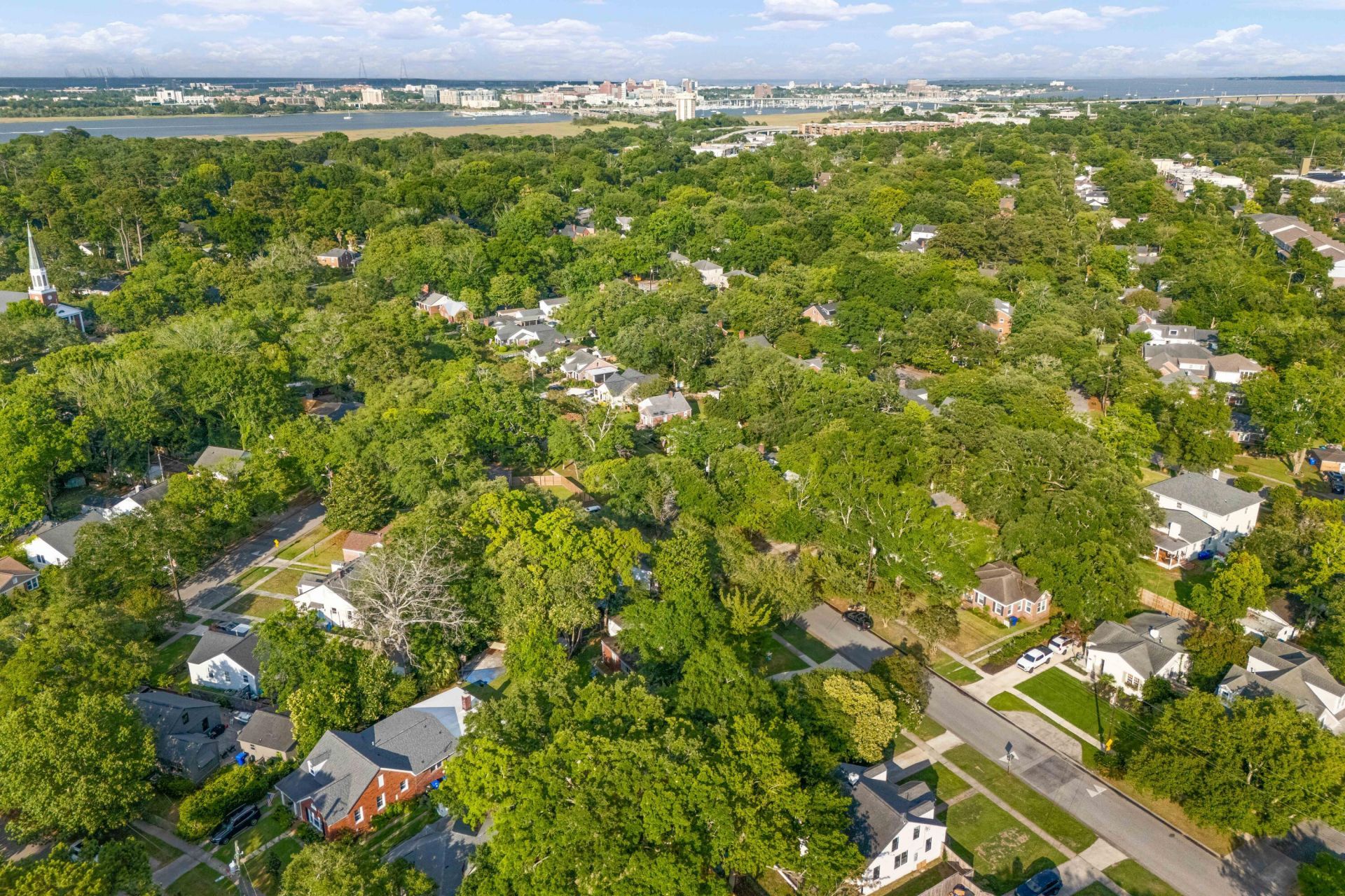 29 Campbell Drive Photo 49