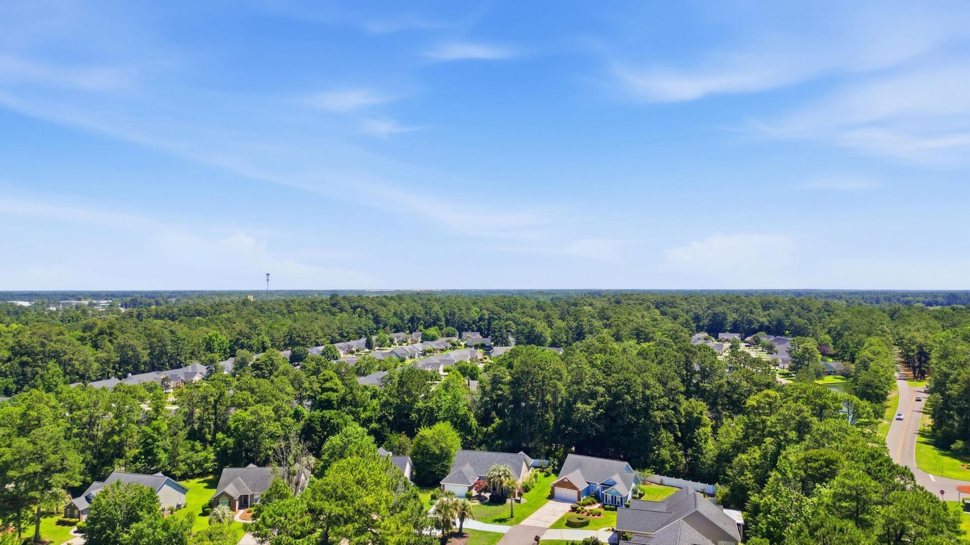 1215 Loblolly Ln. Photo 42