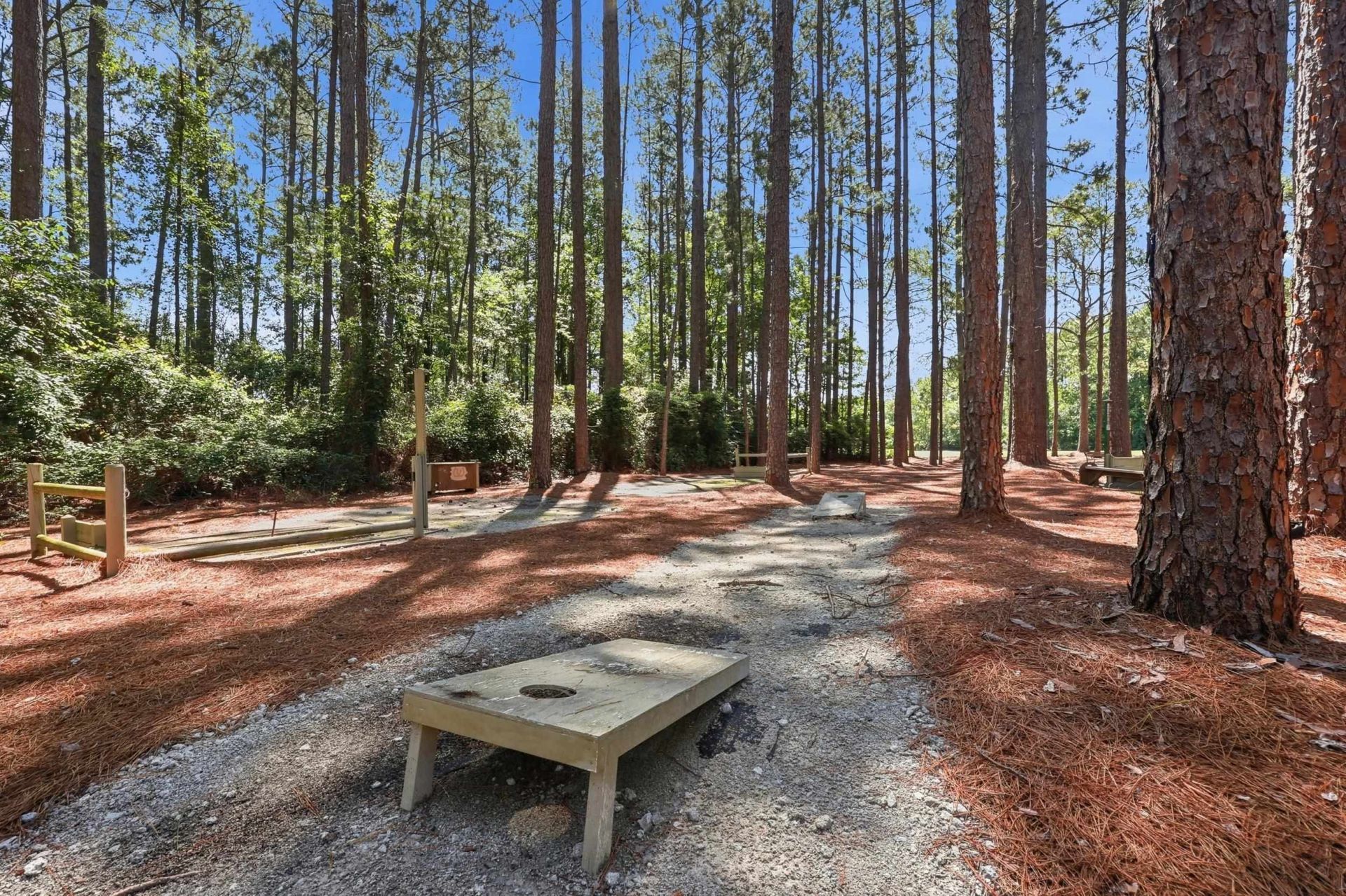 1215 Loblolly Ln. Photo 48
