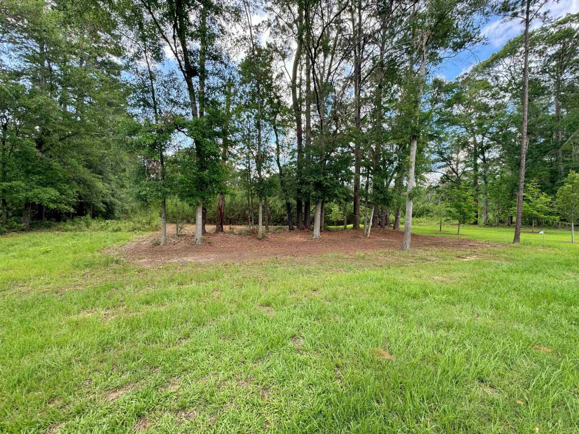 0 Magazine Street , Tallahassee, FL 32312 Photo