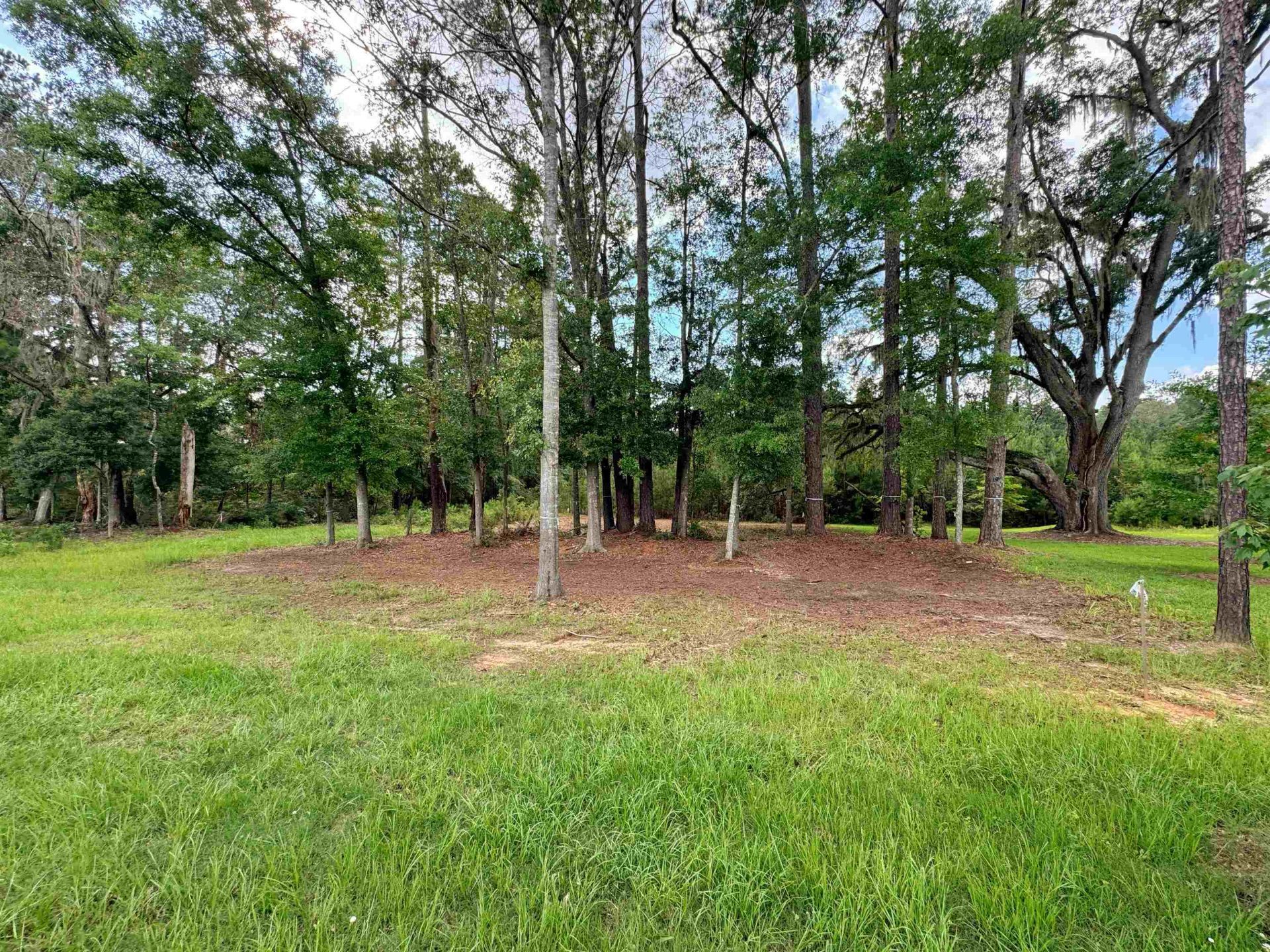 0 Magazine Street , Tallahassee, FL 32312 Photo