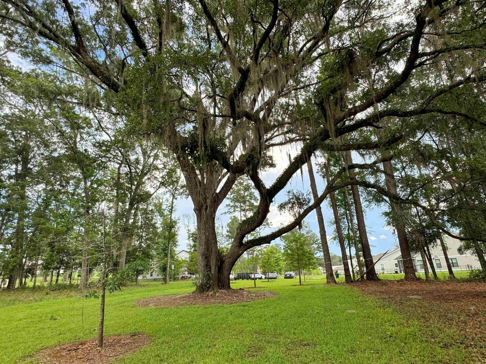 0 Magazine Street , Tallahassee, FL 32312 Photo