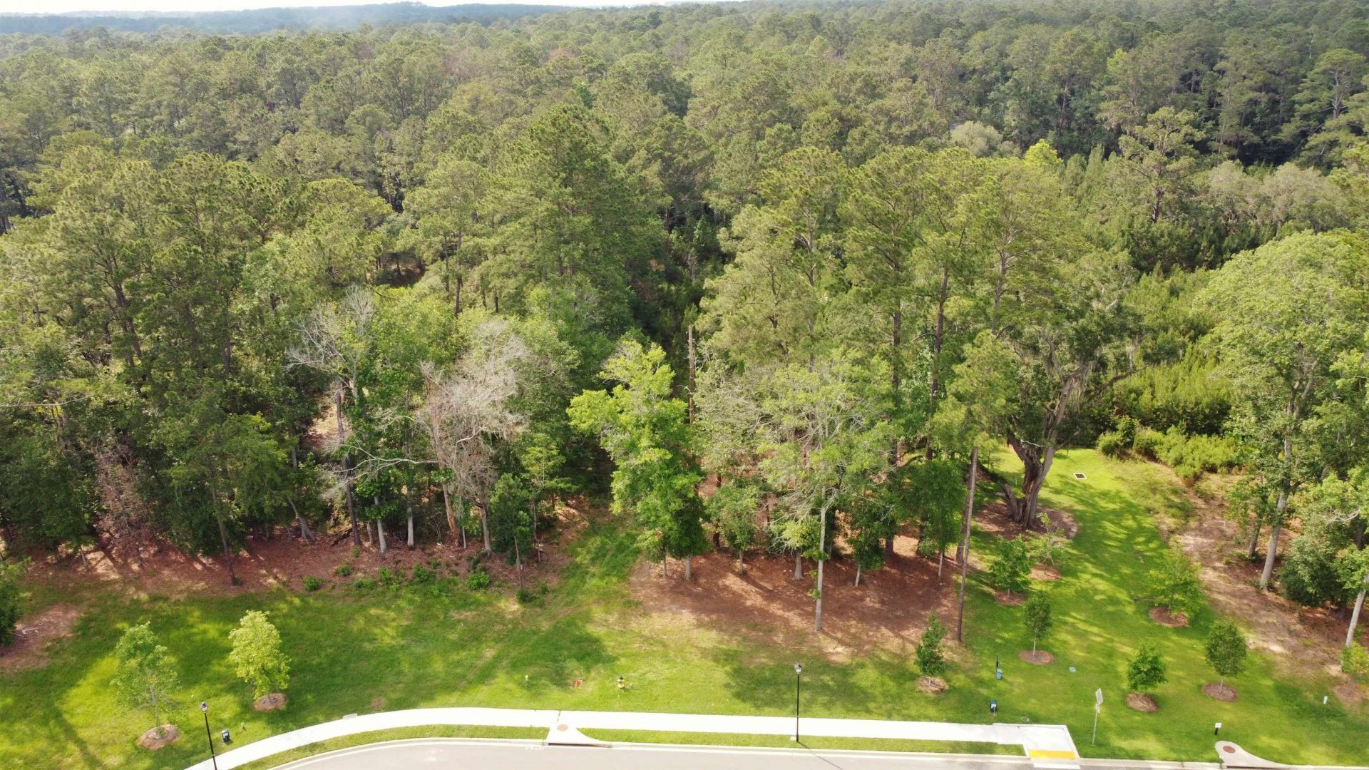 0 Magazine Street , Tallahassee, FL 32312 Photo