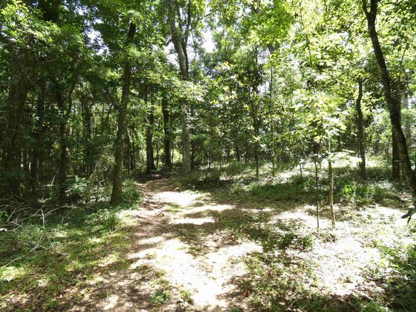 tbd Gamble Road, Monticello, FL 32344