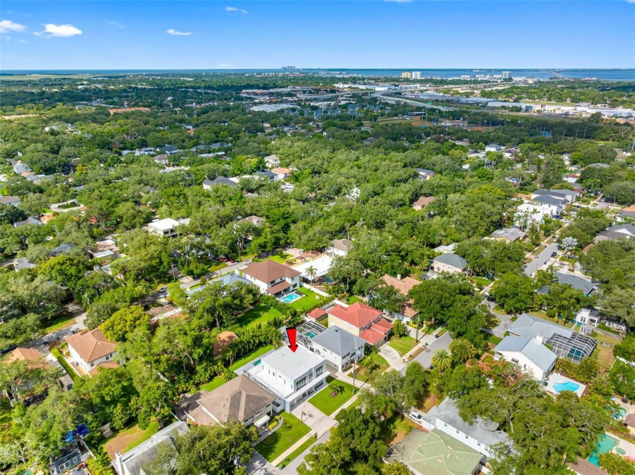 3208 W Lawn Avenue, Tampa, FL 33611 Photo