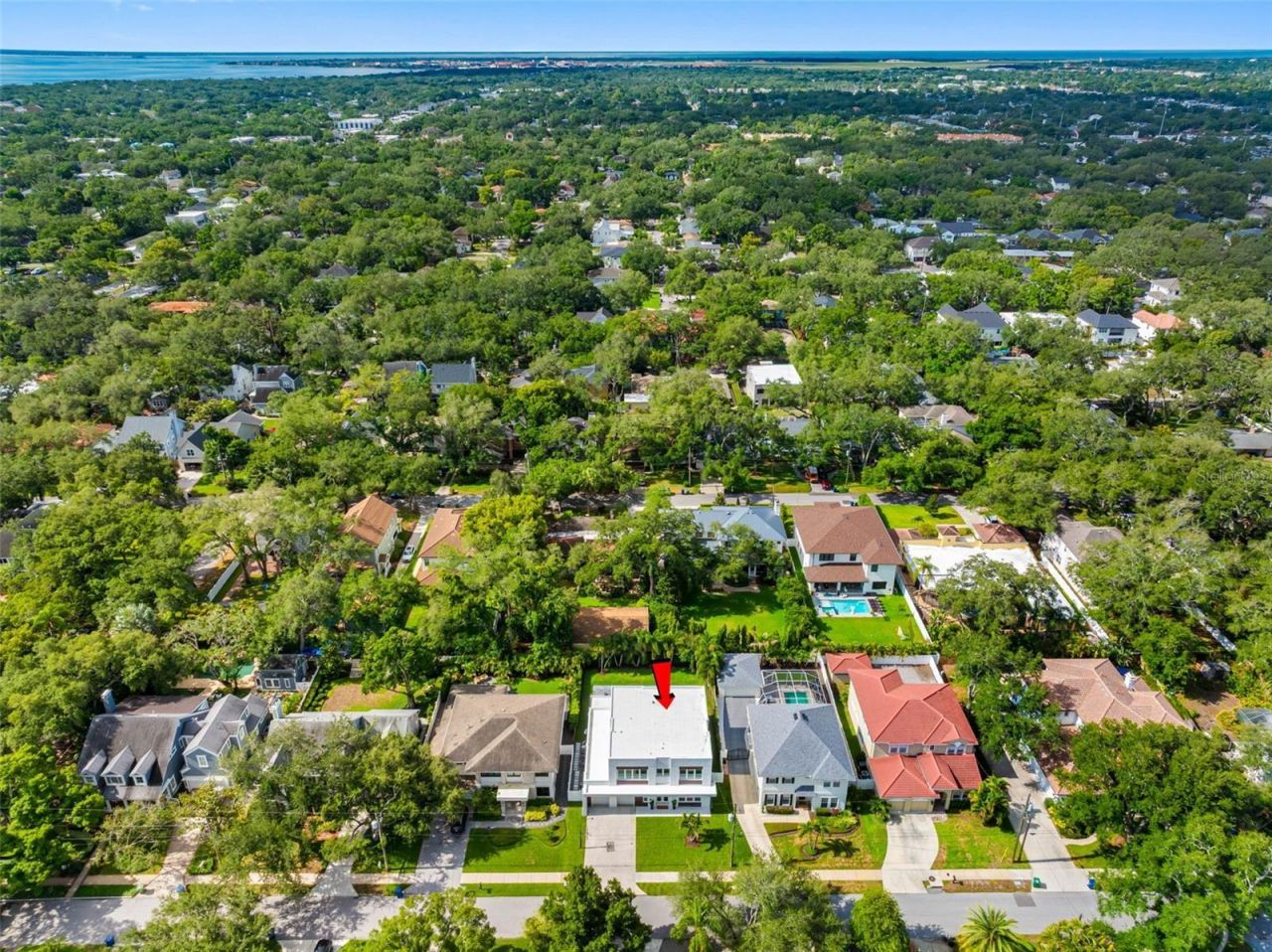 3208 W Lawn Avenue, Tampa, FL 33611 Photo