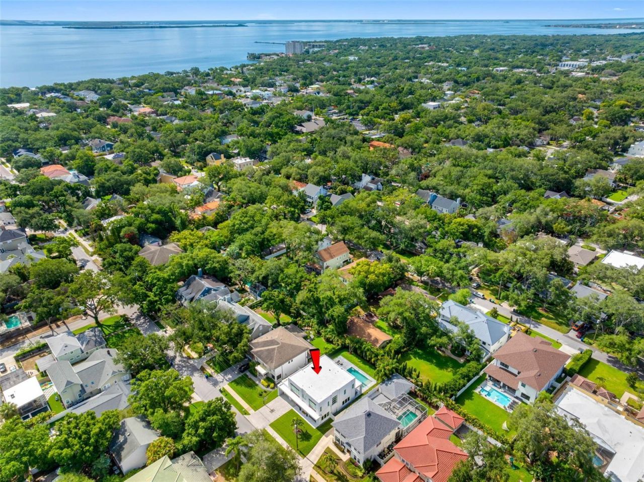 3208 W Lawn Avenue, Tampa, FL 33611 Photo
