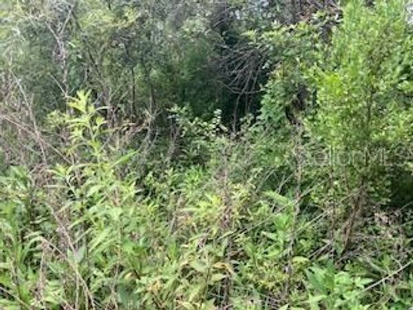 SWEETWATER TRAIL , KISSIMMEE, FL 34747