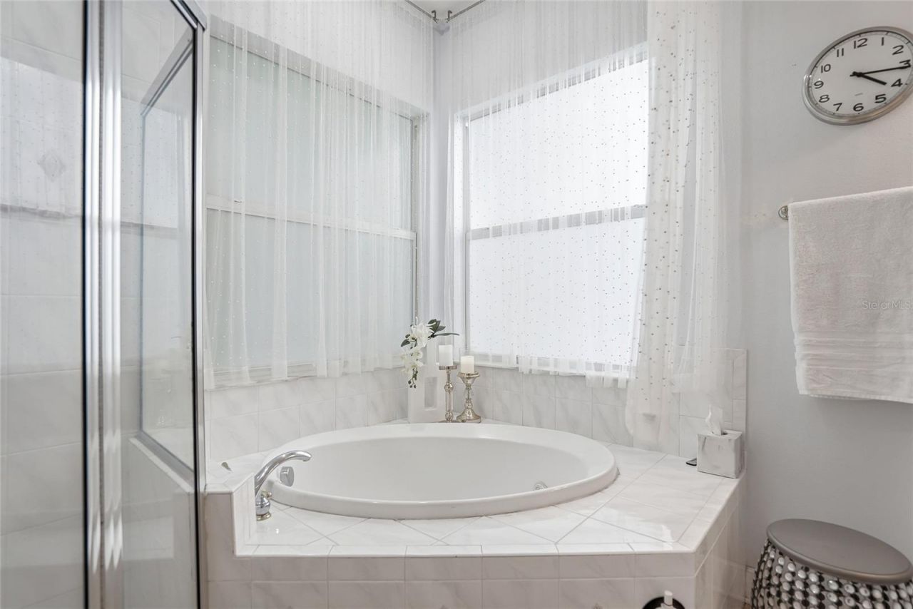 19930 Dolores Ann Court, Lutz, FL 33549 Photo