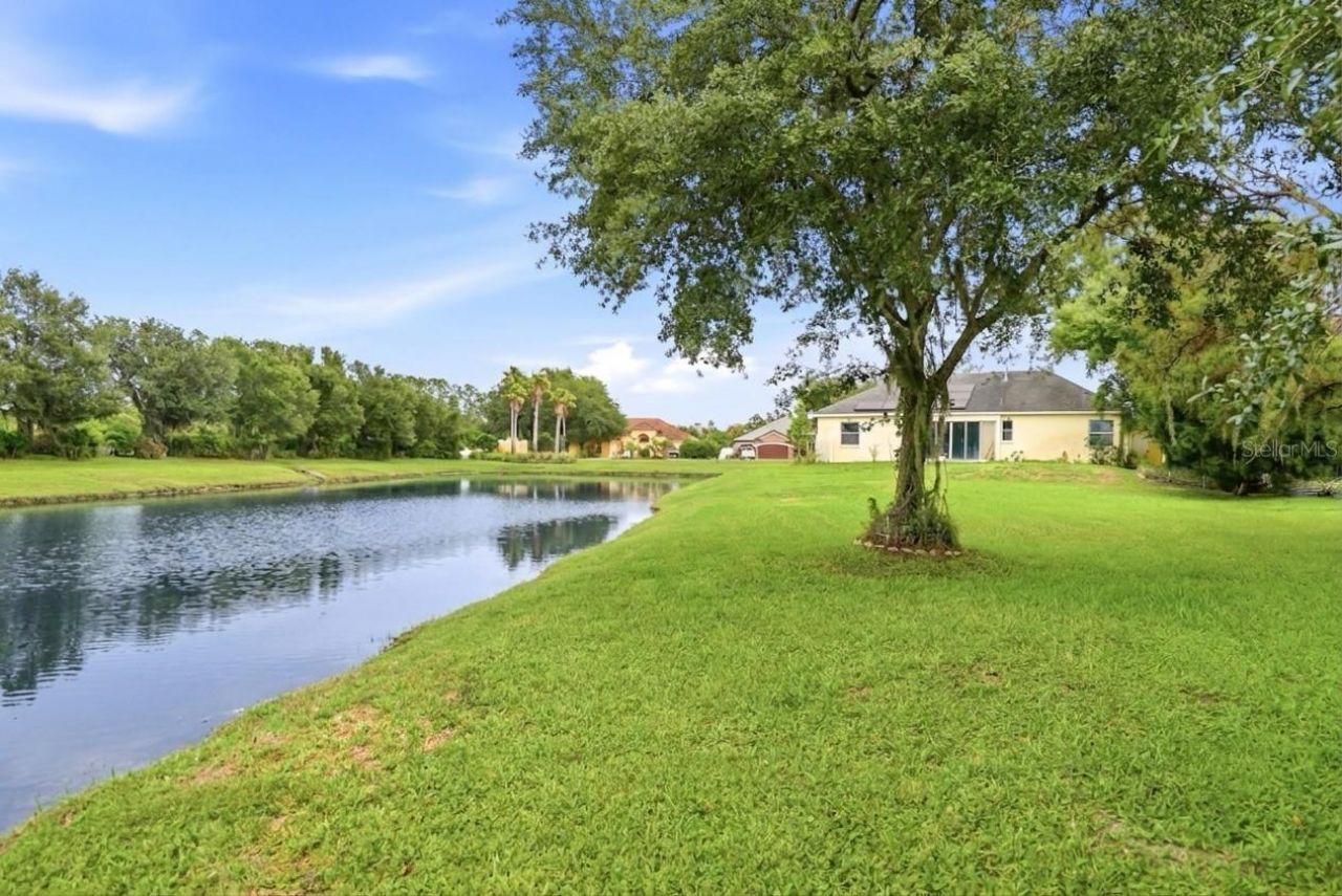 19930 Dolores Ann Court, Lutz, FL 33549 Photo