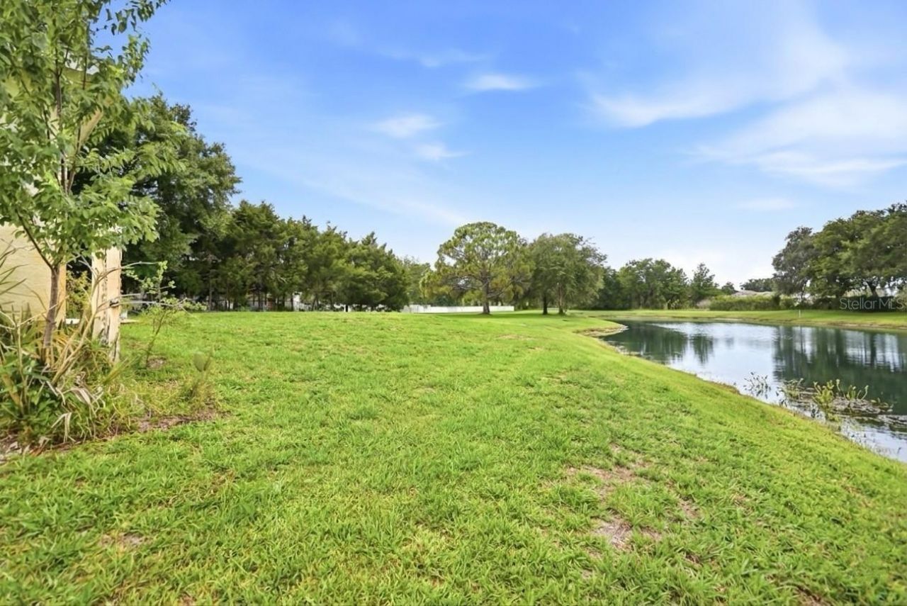 19930 Dolores Ann Court, Lutz, FL 33549 Photo