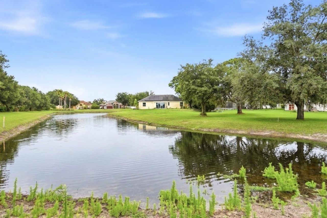 19930 Dolores Ann Court, Lutz, FL 33549 Photo
