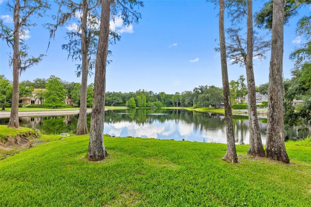 16310 Avila Boulevard, Tampa, FL 33613 Photo